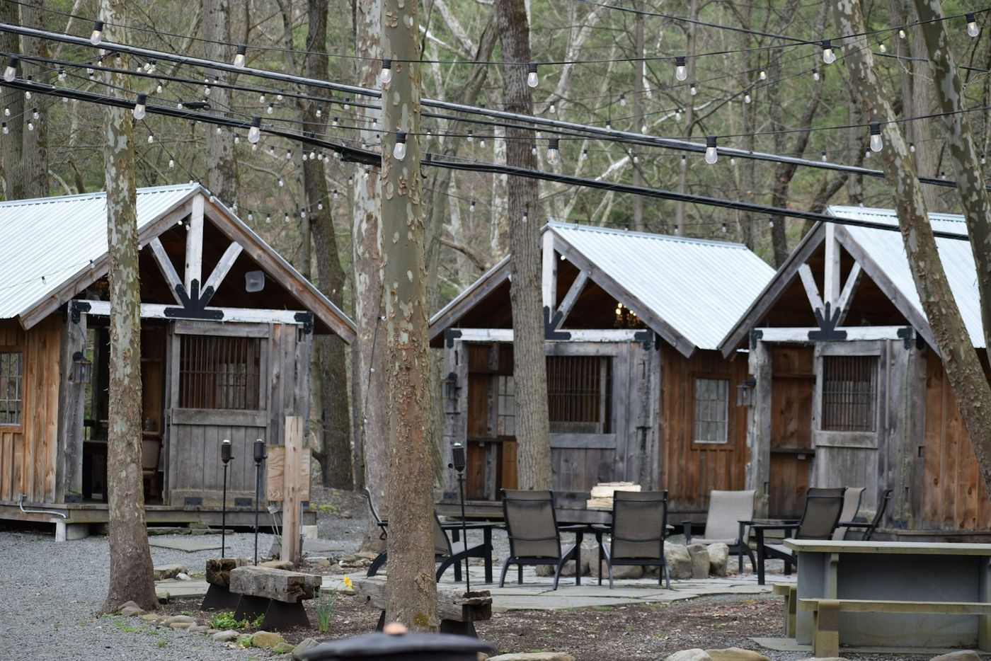 Wooden cabins among trees